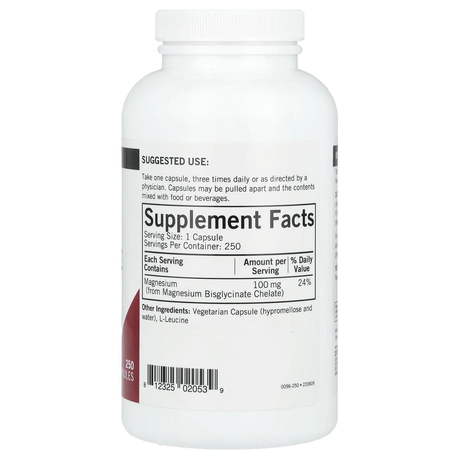 2 X Kirkman Labs, Magnesium Bisglycinate Chelate, 100 mg, 250 Capsules