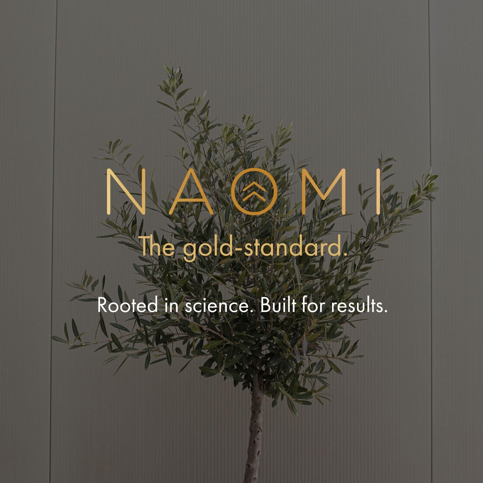 NAOMI BP Advanced, Supports Cardiovascular Health, Circulatory Health, Olive …