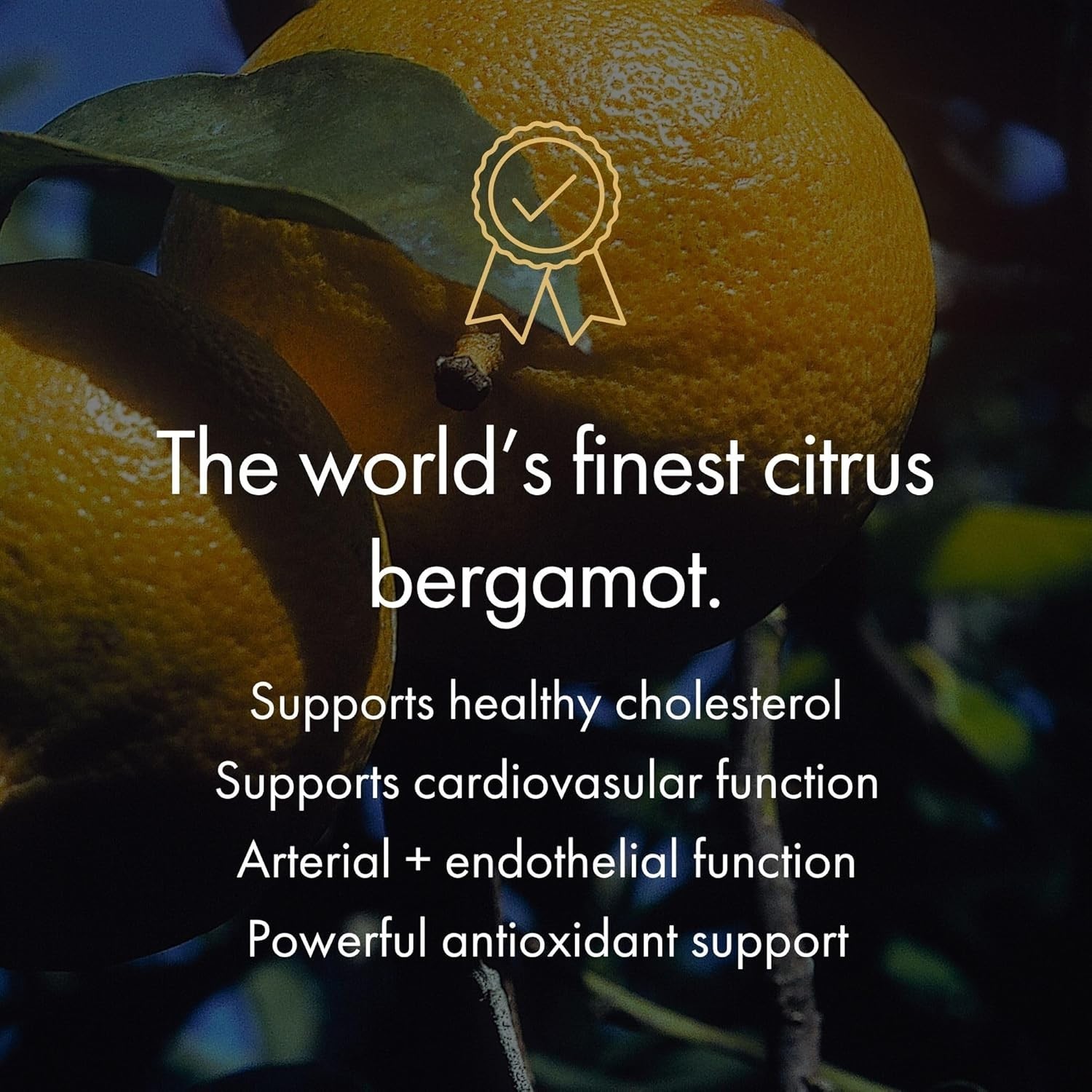 NAOMI Italian Citrus Bergamot 500mg BergAmore Cholesterol Triglyceride Support