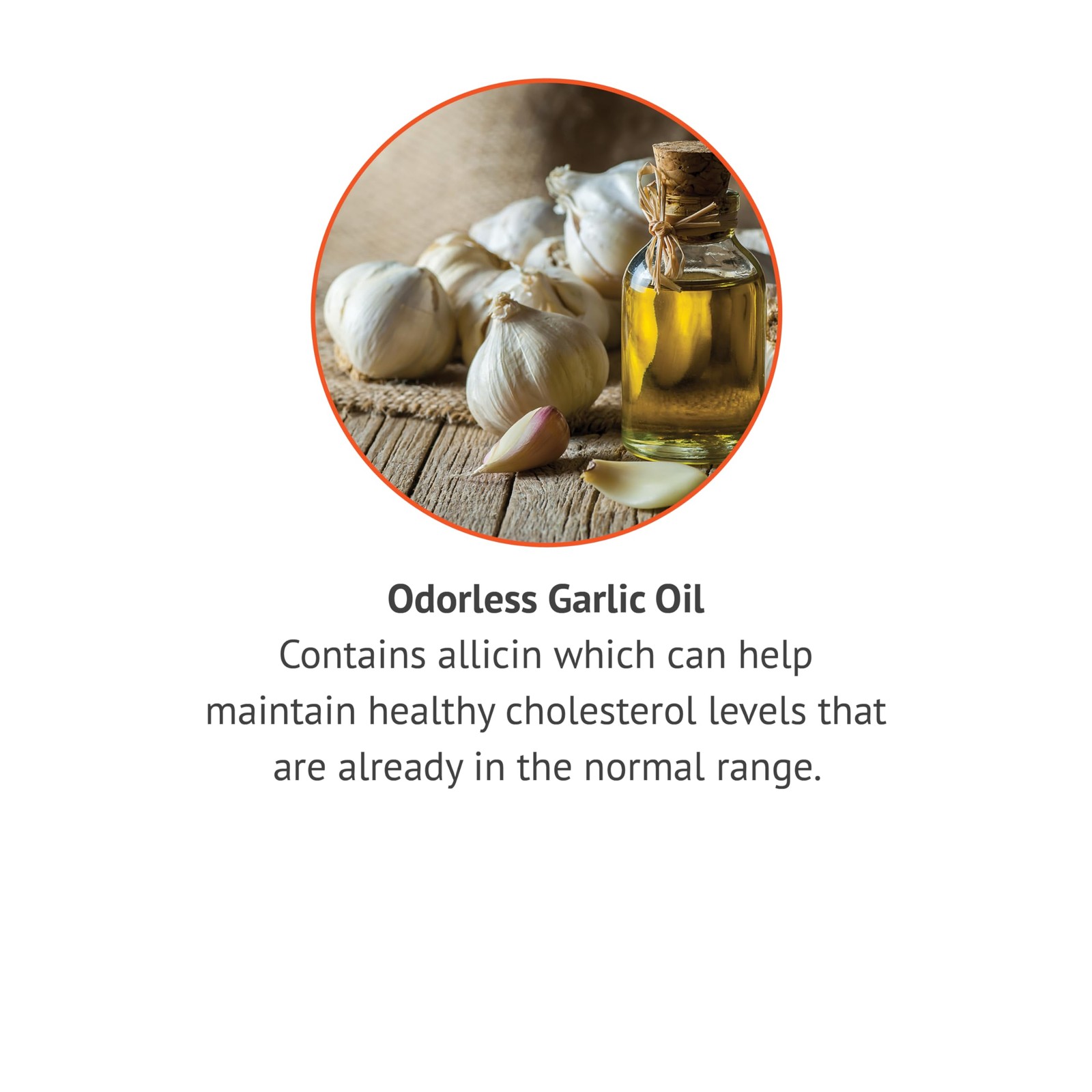 Odorless Garlic Oil Softgels – Antioxidant Cholesterol and Immune Support Supple