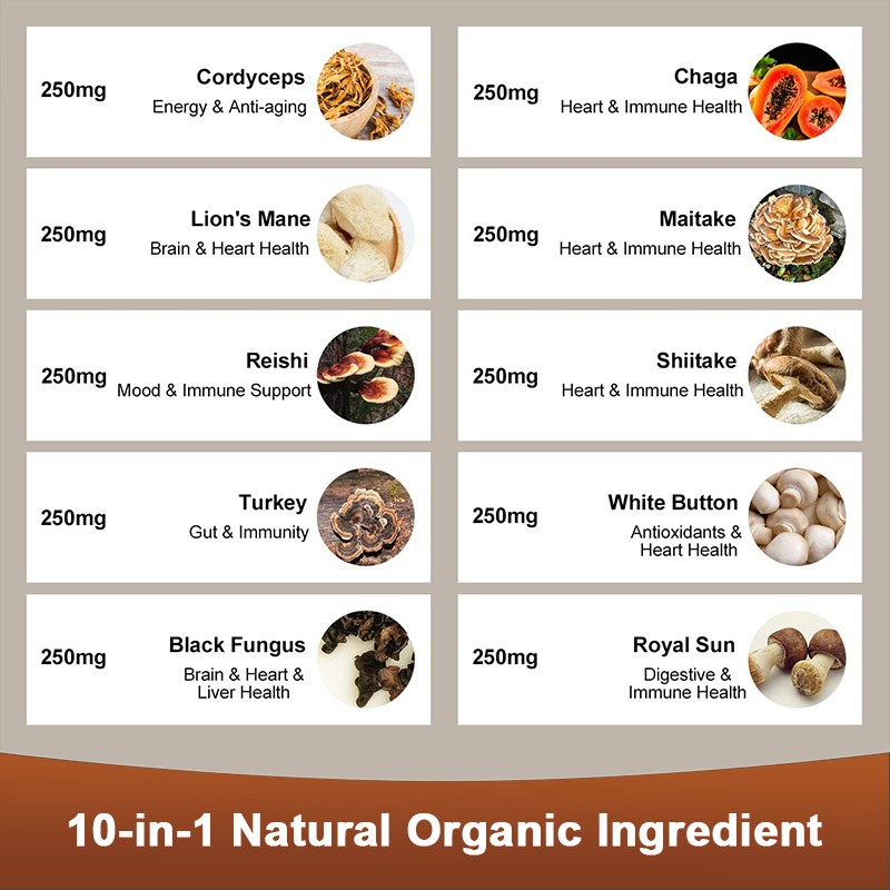Mushroom Extract Complex Gummies Lions Mane Chaga Reishi Focus Memory Immunity
