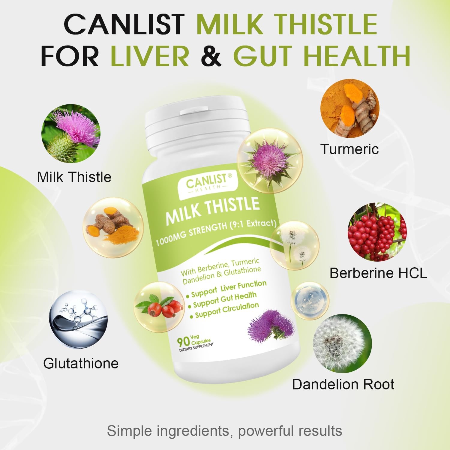 CANLIST Milk Thistle Capsules 1000mg, Potent 9:1 90 Count (Pack of 1)