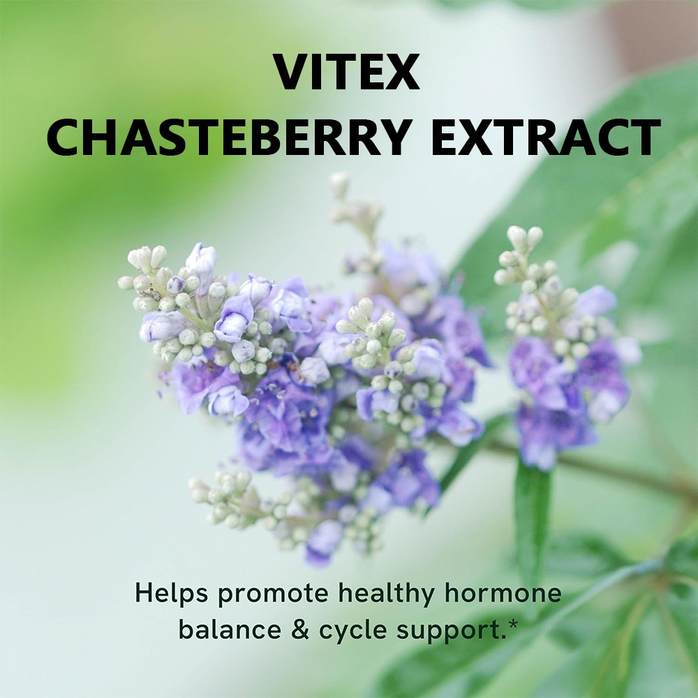 Vitex 650 mg 120 Capsules Support Menopausal Symptoms Fertility Hormone Balance