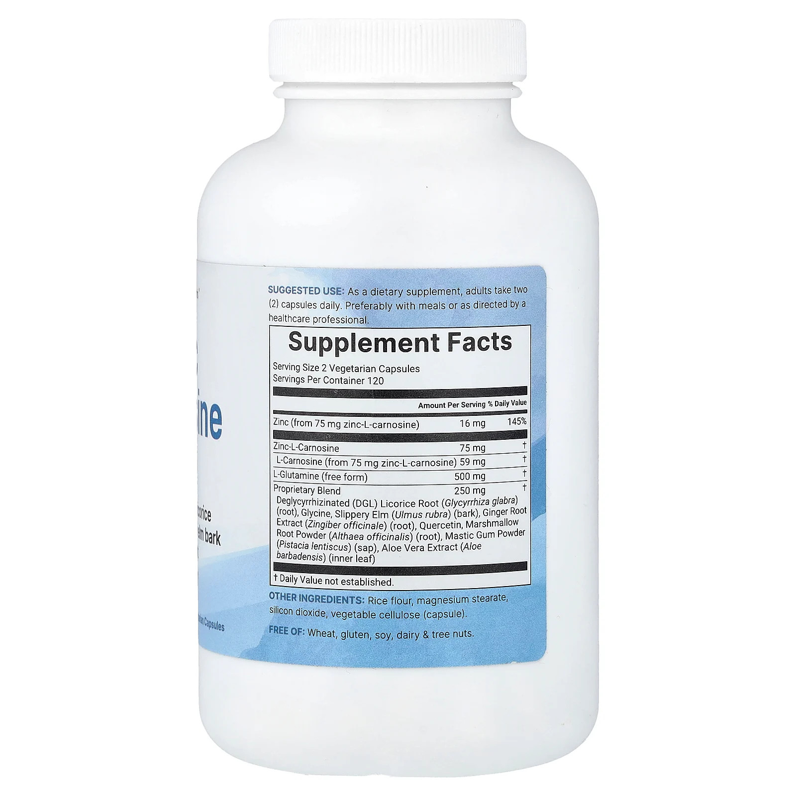 Zinc Carnosine, 240 Vegetarian Capsules