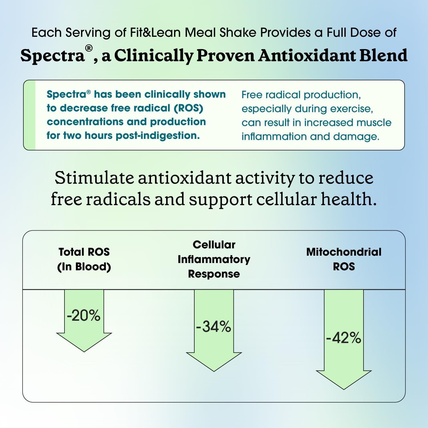 All-Natural Chocolate Meal Replacement Shake with Probiotics, 10 Servings