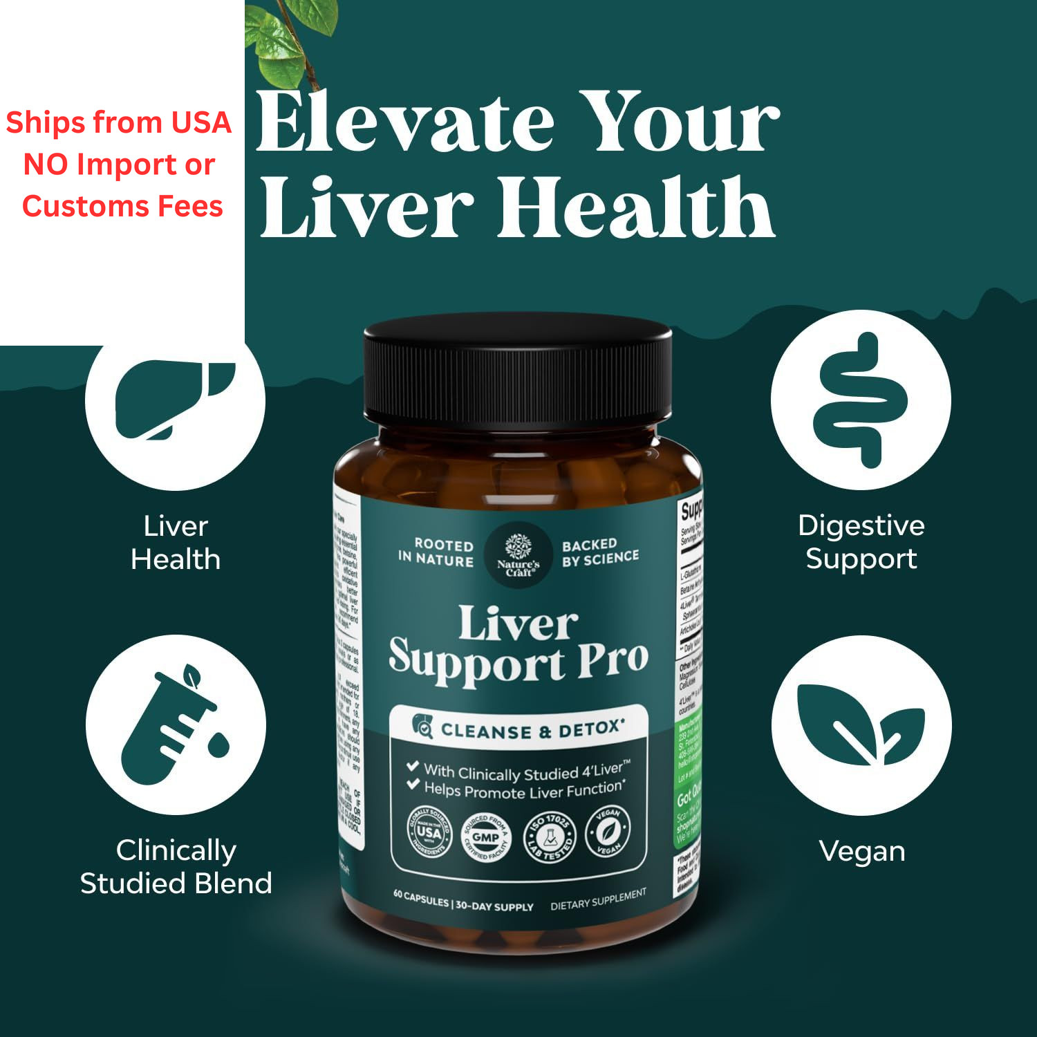 Pro Liver Support Supplement – 2X More Effective than 60 Count (Pack of 1)