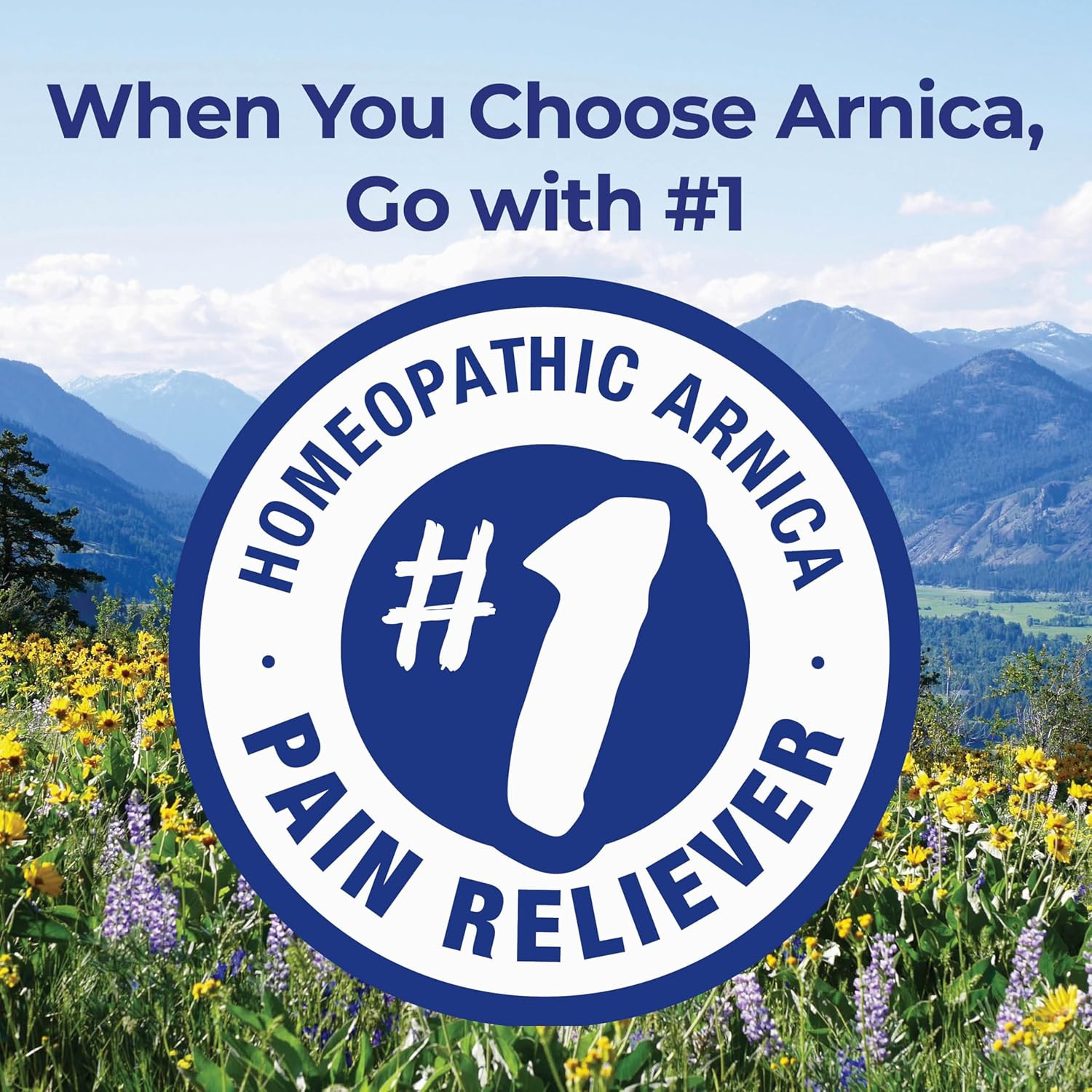 Boiron Arnica Montana 30C Homeopathic Medicine for Relief from Muscle Pain, Musc