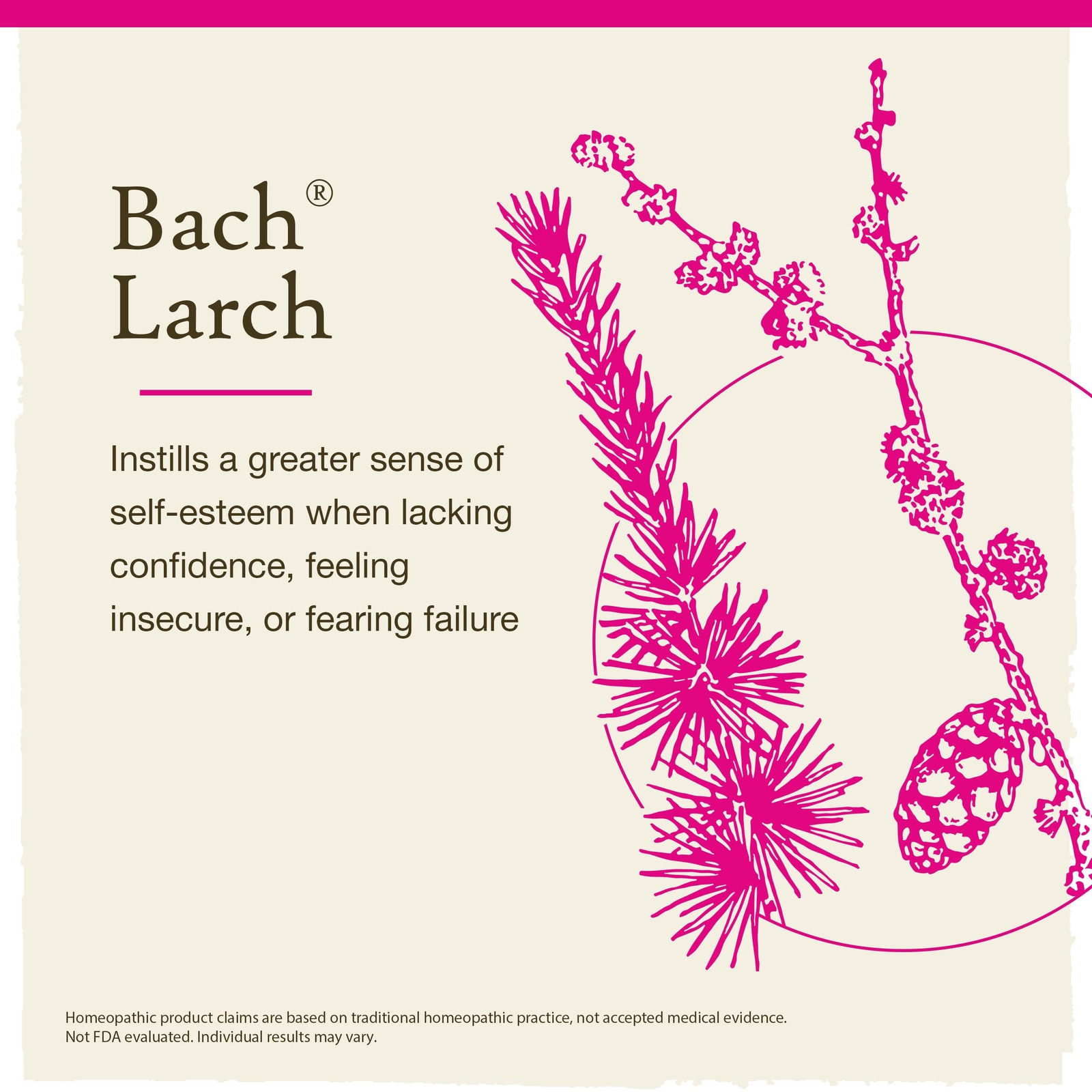 Bach Larch Remedy for Confidence 0.7 Fl Oz Doctor Developed Formula