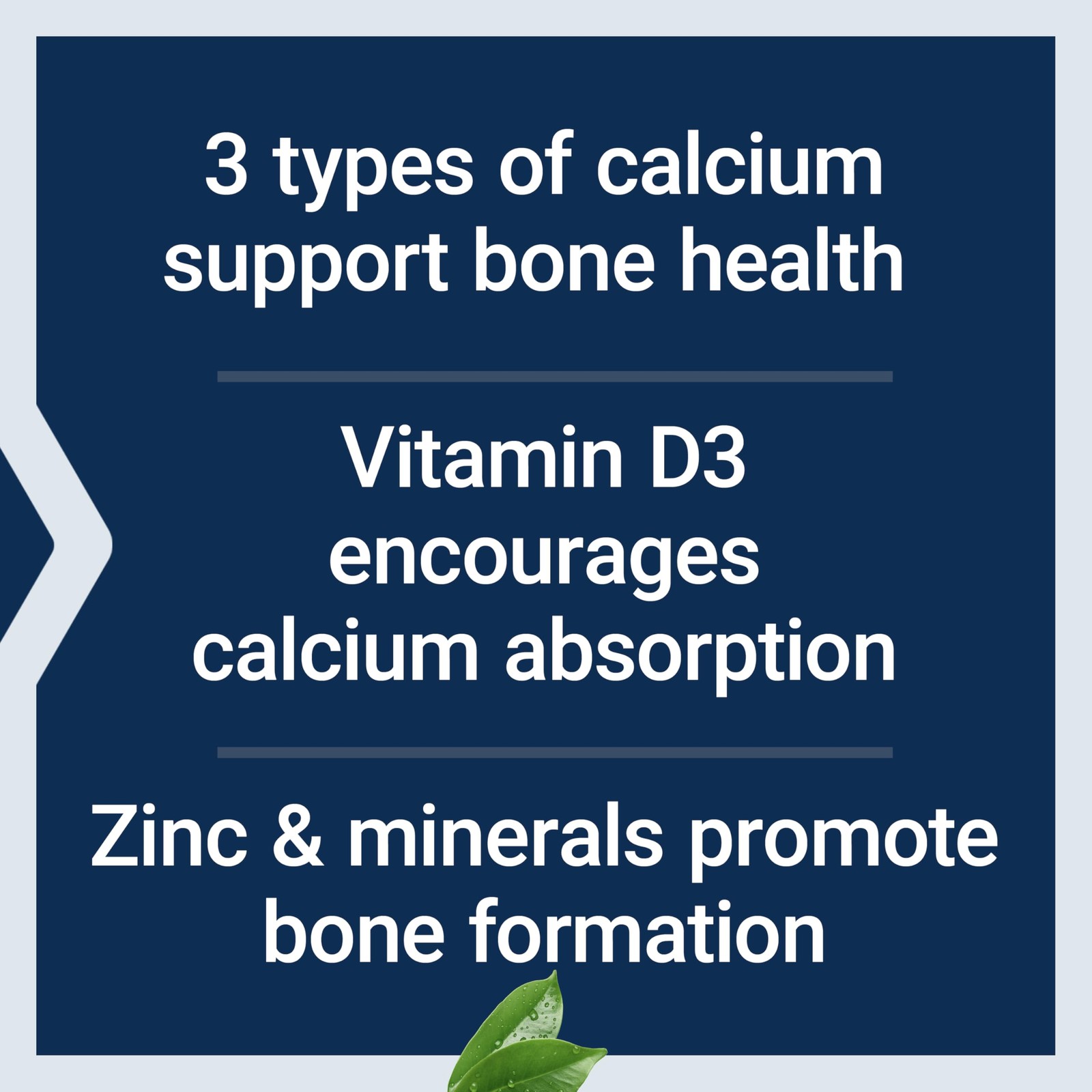 Life Extension Bone Restore Calcium 120 Count (Pack of 1), Off White