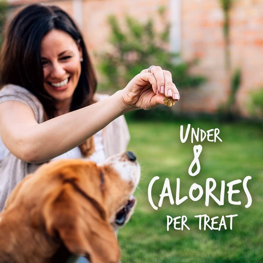 Fruitables Pumpkin & Blueberry Mix Dog Treats (8×7 Oz)