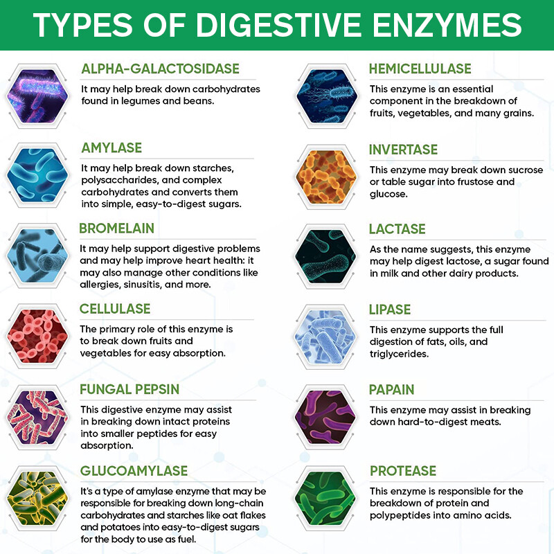 2×120pc Enzyme Matrix Capsules – Bloating Relief & Nutrient Absorption Amplifier