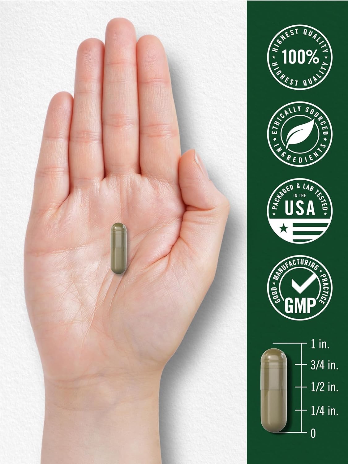 Fruits and Veggies | 250 Capsules | 32 Fruits and Vegetables | by Carlyle
