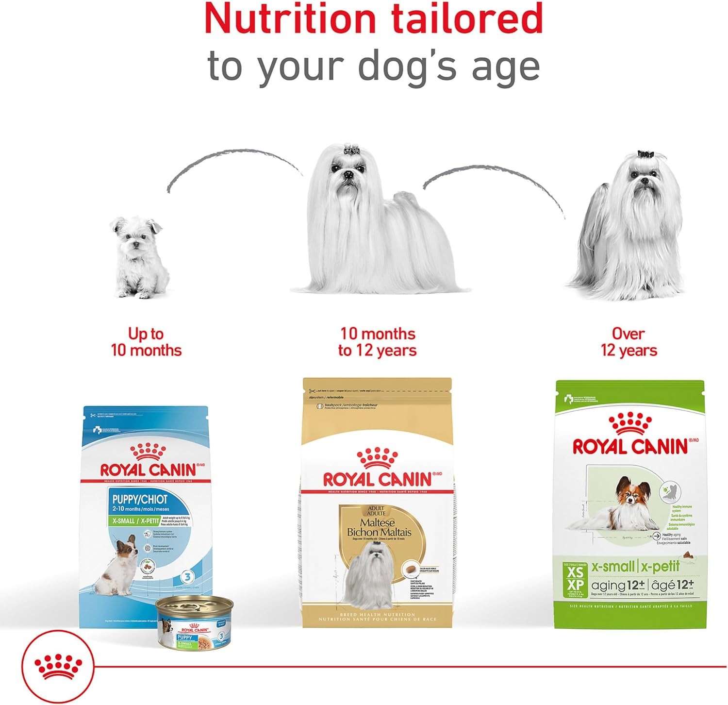 Royal Canin Breed Health Nutrition Maltese Adult Dry Dog Food,10 lb Bag
