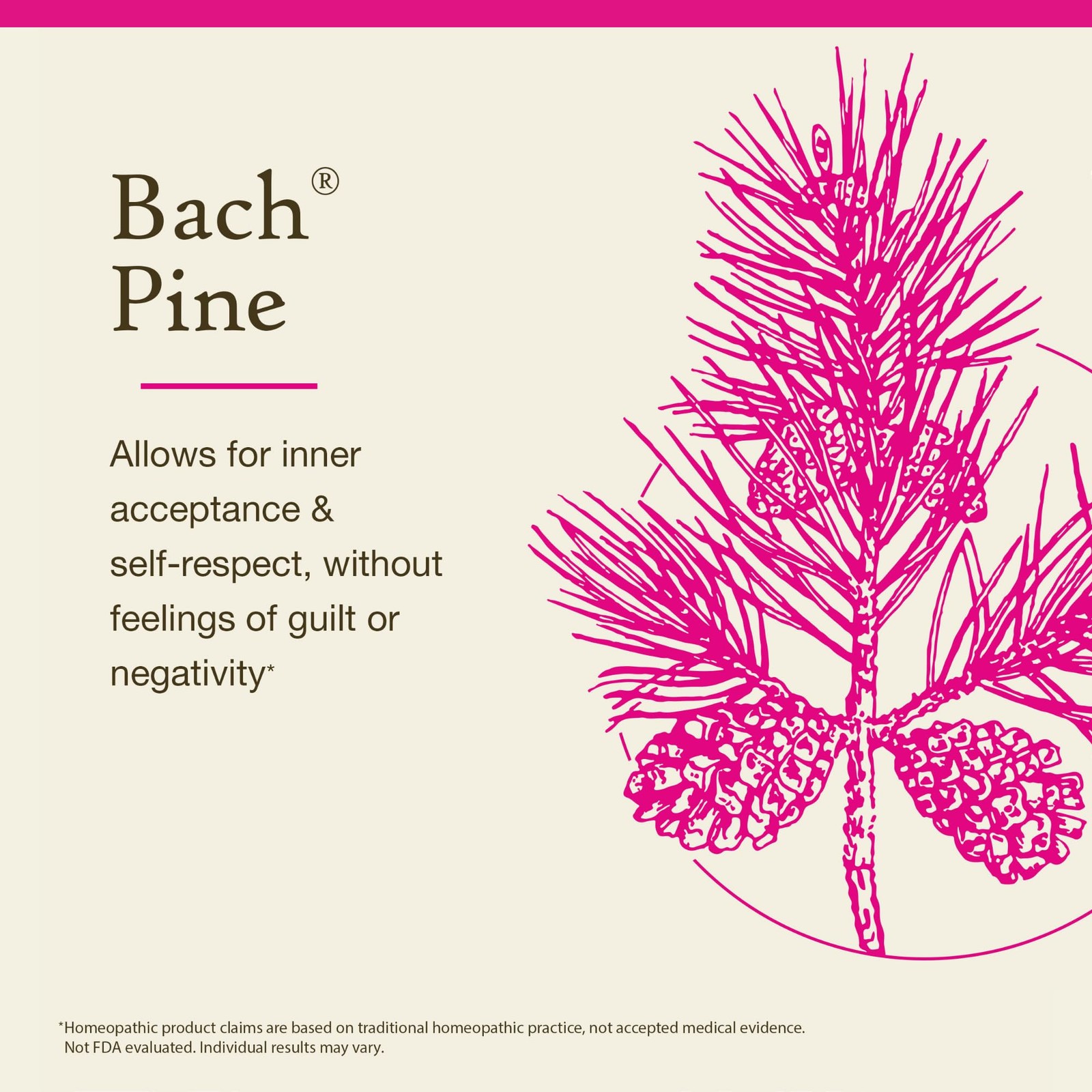 Bach Flower Remedy Pine 0.7 fl oz Natural Emotional Wellness Support