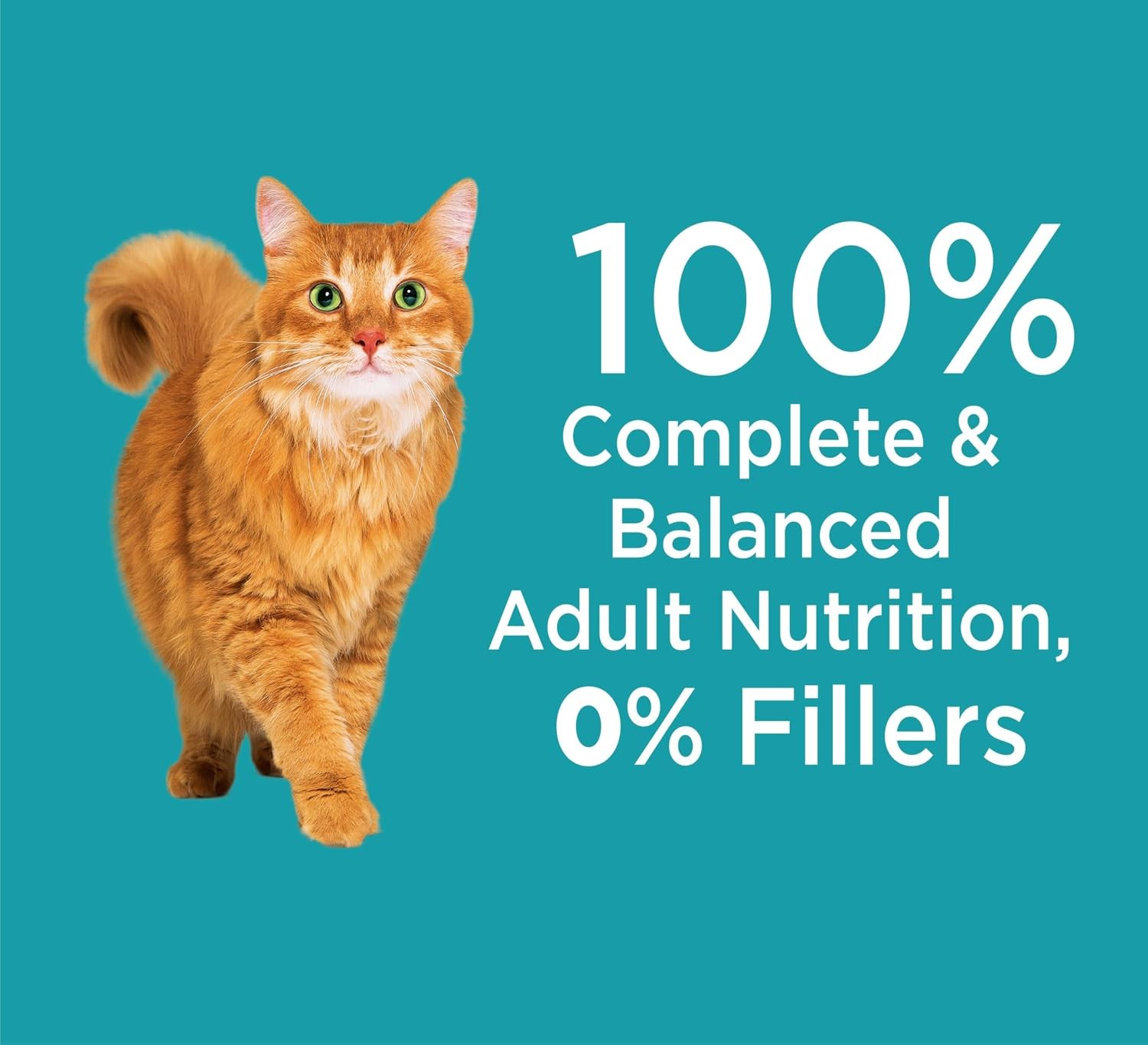 GYCO Proactive Health Adult Indoor Weight Control & Hairball Care Dry Cat Food w