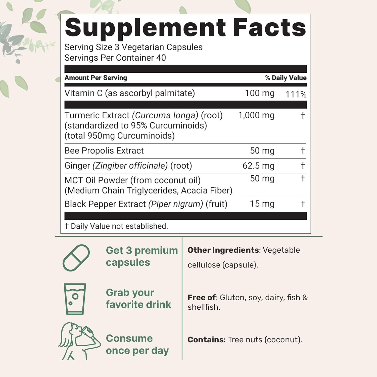 Micro Ingredients Turmeric Curcumin 95 2-Pack 1000mg Black Pepper 240 Capsule
