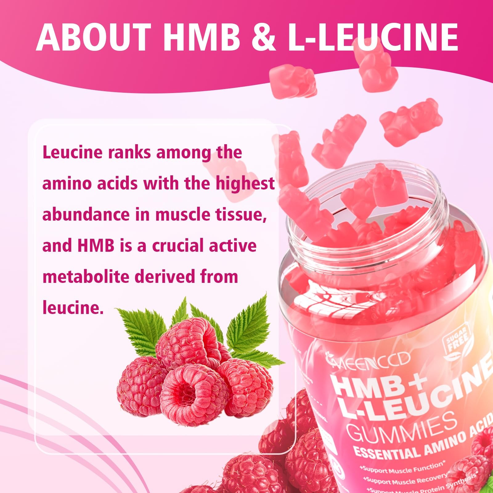 MEENCCD HMB and L-Leucine Gummies, Leucine Amino 60 Count (Pack of 1)