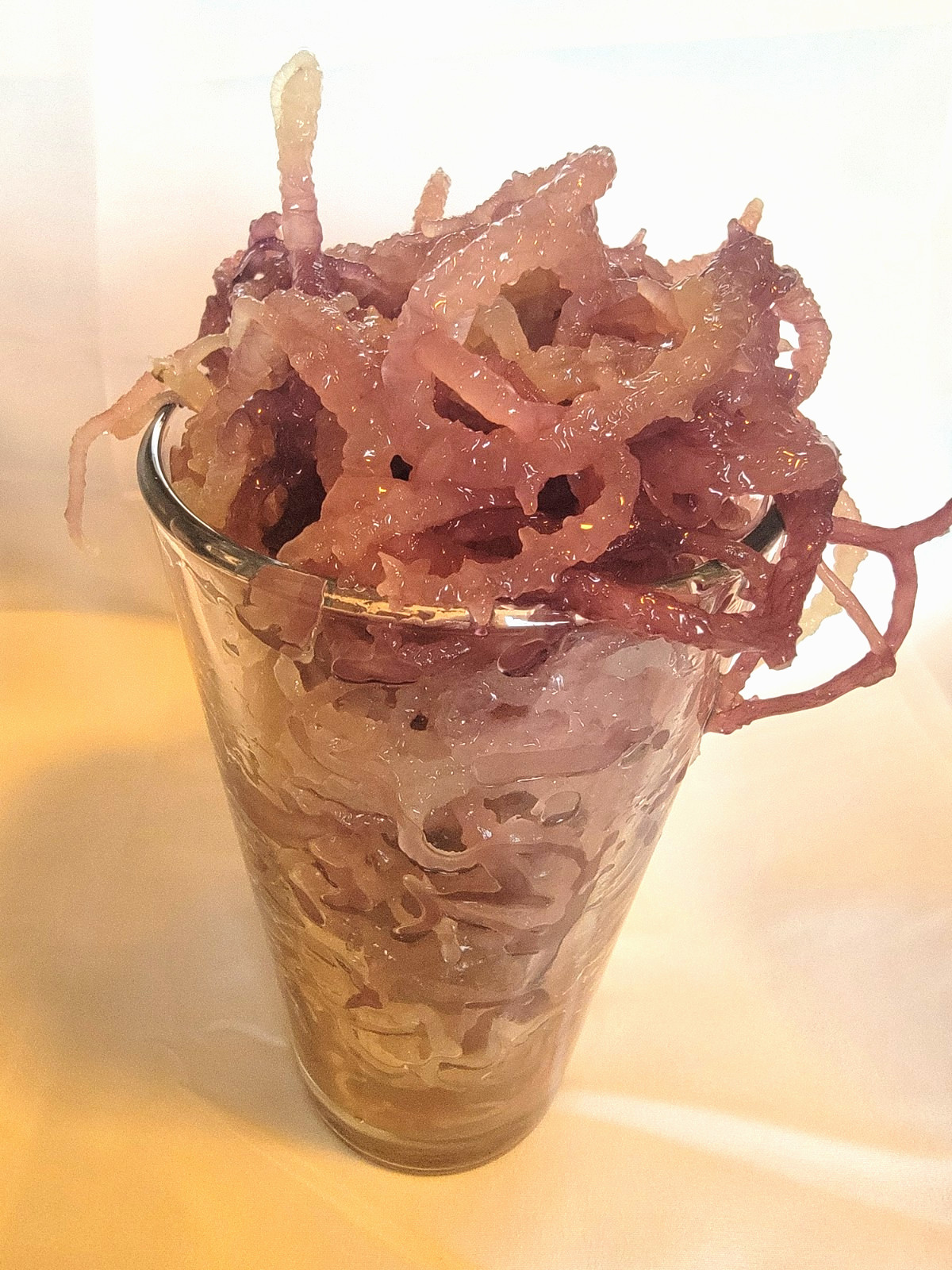 Organic Purple Irish Sea Moss I Wild Crafted Superfood I Raw Sun dried Seamoss