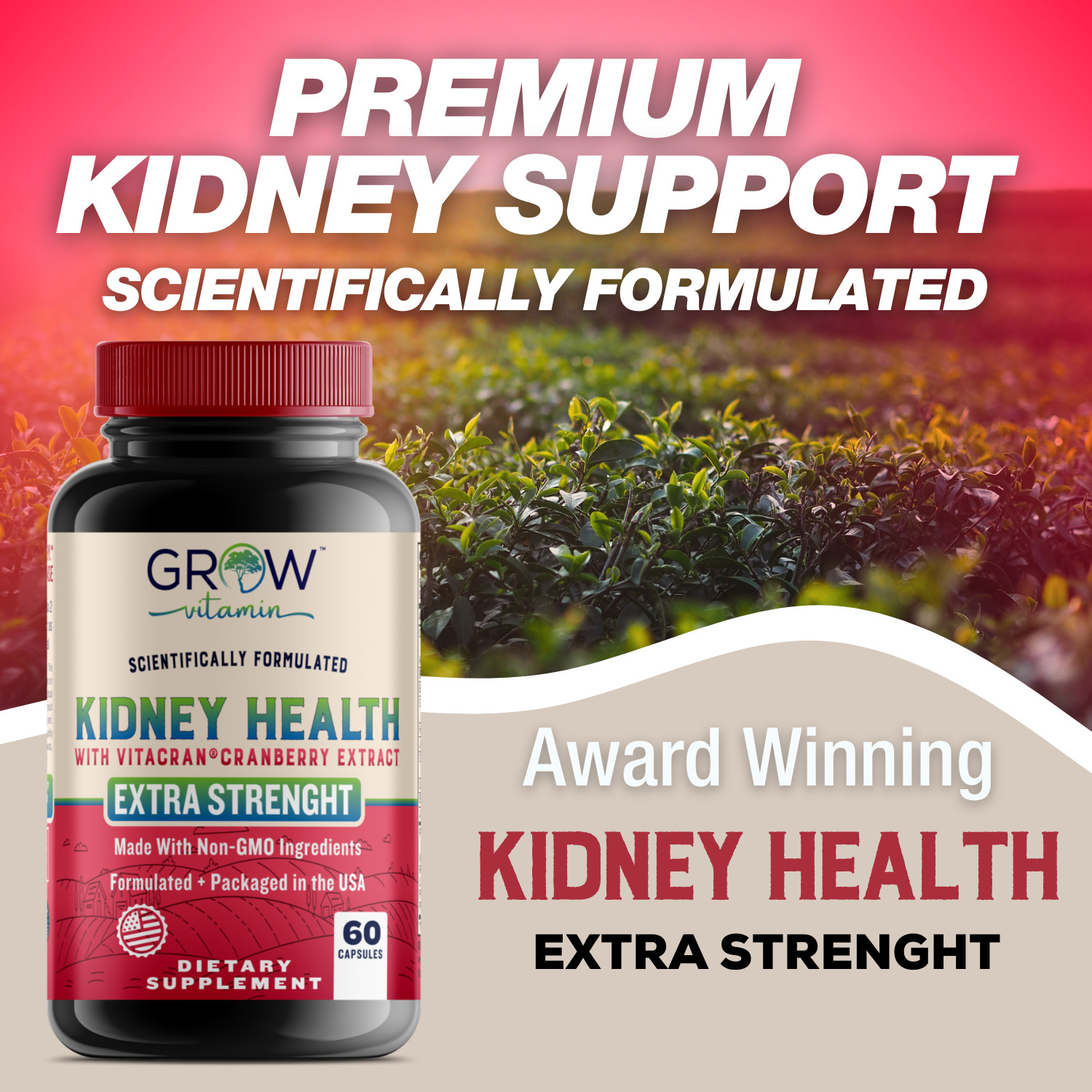 Premium Kidney Support Supplement by grow vitamin | Kidney Cleanse EXP 07/2024
