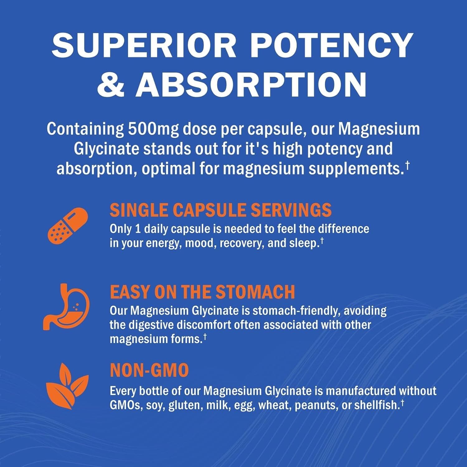 Magnesium Glycinate High Absorption Magnesium Supplement 500mg Per Serving 240ct