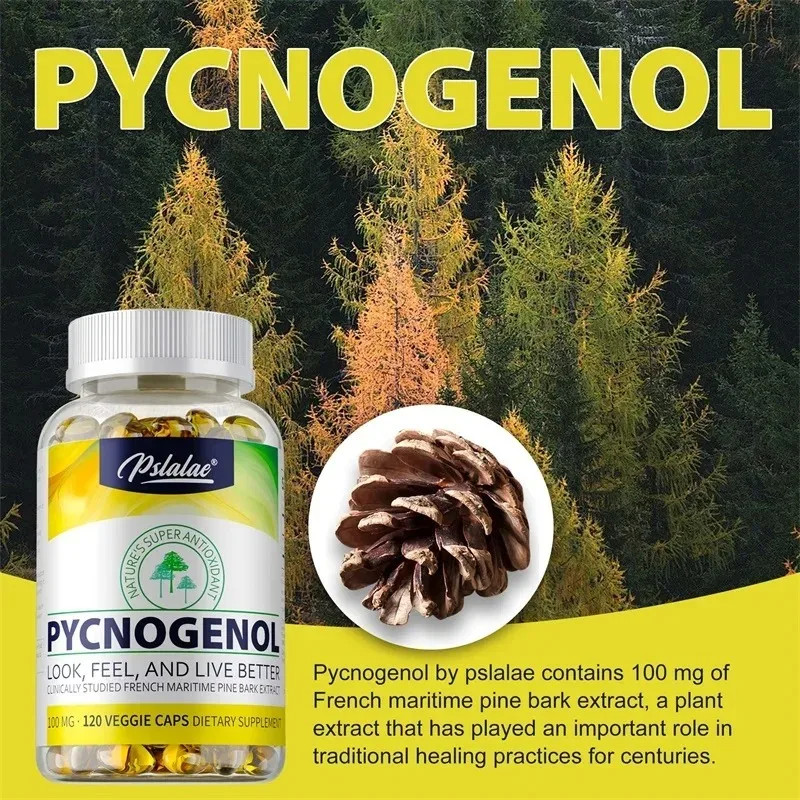 Pycnogenol 120pcs – Antioxidant, Improves Joint Flexibility, Blood Circulation