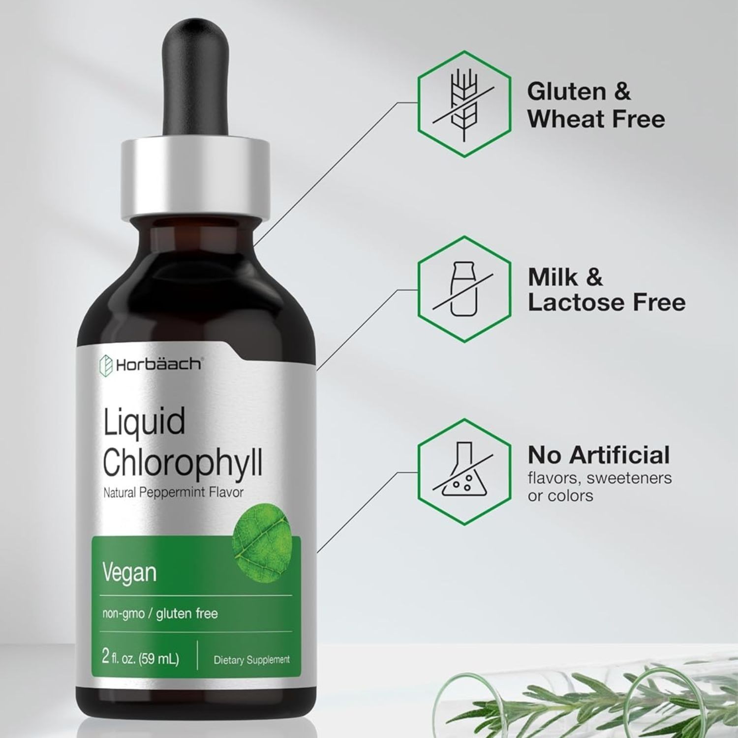 Gotas Líquidas de Clorofila 2 fl oz | Sabor Natural a Menta | Vegano, Sin OGM