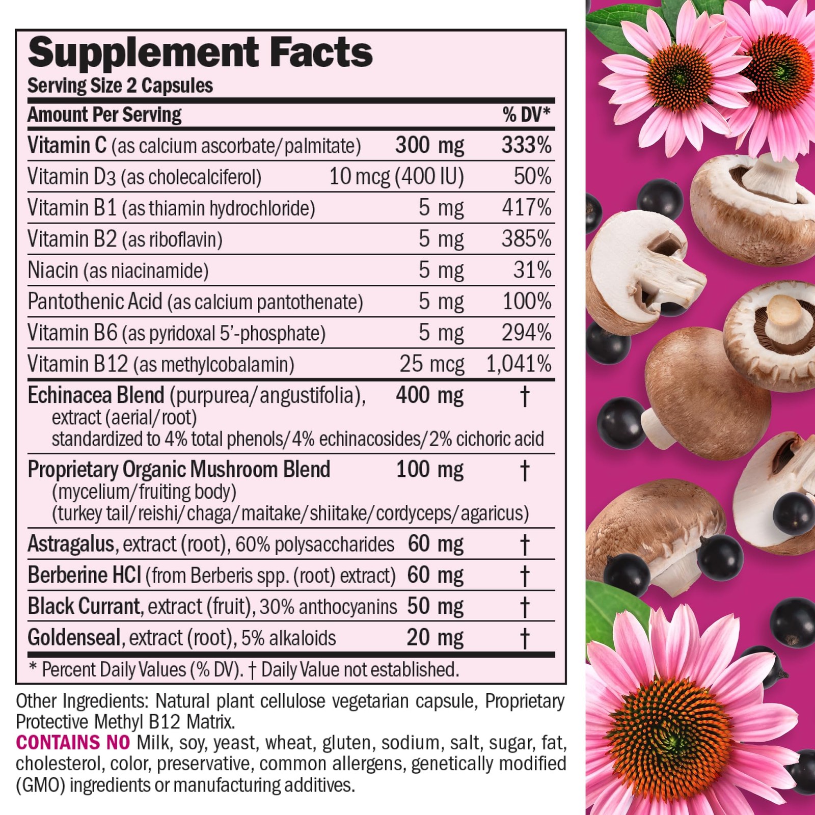 ANDREW LESSMAN Immune Factors 180 Capsules – Echinacea, 180 Count (Pack of 1)