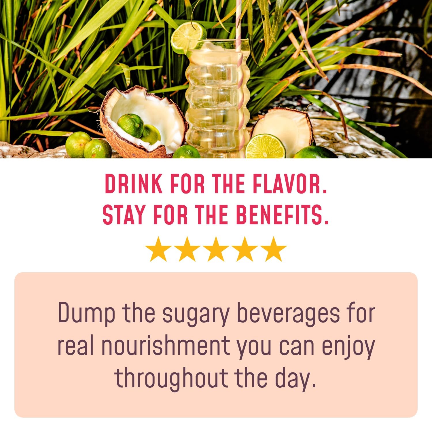 FlavCity Anytime Essential Lemonade Variety Pack – 13.22 Ounce (Pack of 1)