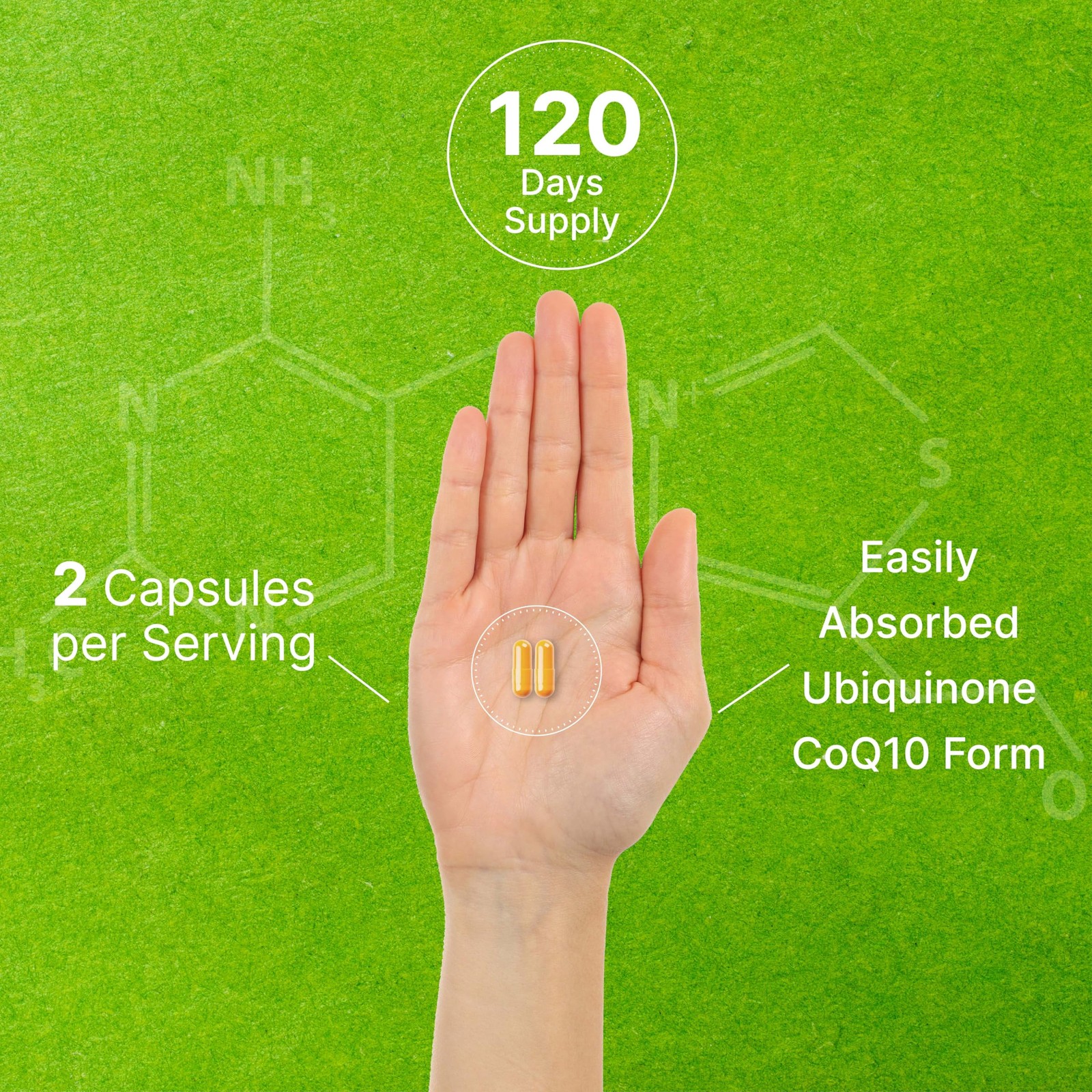 DEAL SUPPLEMENT CoQ10 100mg with Omega 3 100mg, 240 240 Count (Pack of 1)