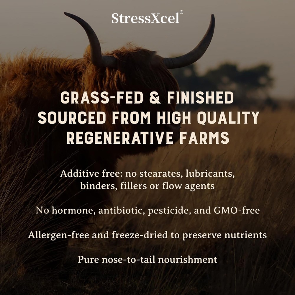 Pure Grass Fed Beef Liver Capsules 30/60/120Caps 3000mg Natures Multivitamin