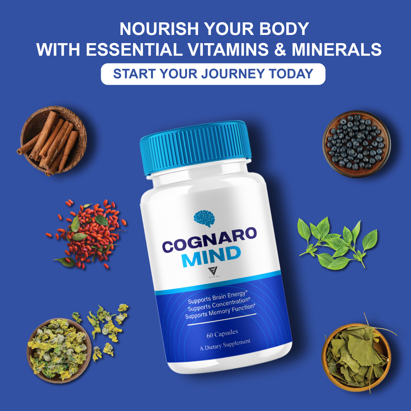 Cognaro Mind Advanced Brain Support, CognaroMind Pills (60 Capsules)