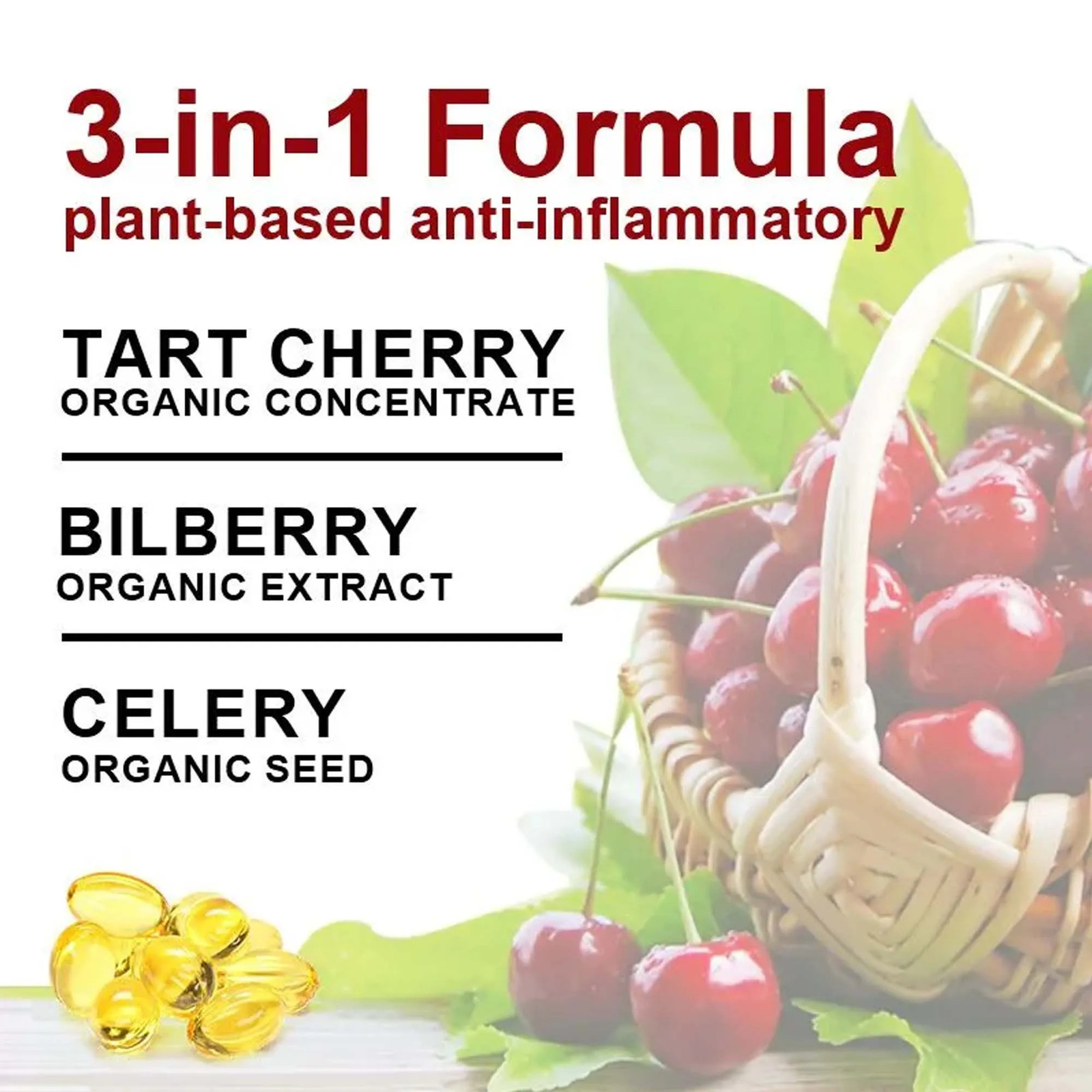 Tart Cherry Bilberry 240pcs, Uric Acid Cleansing, Joint Health, Muscle Recovery