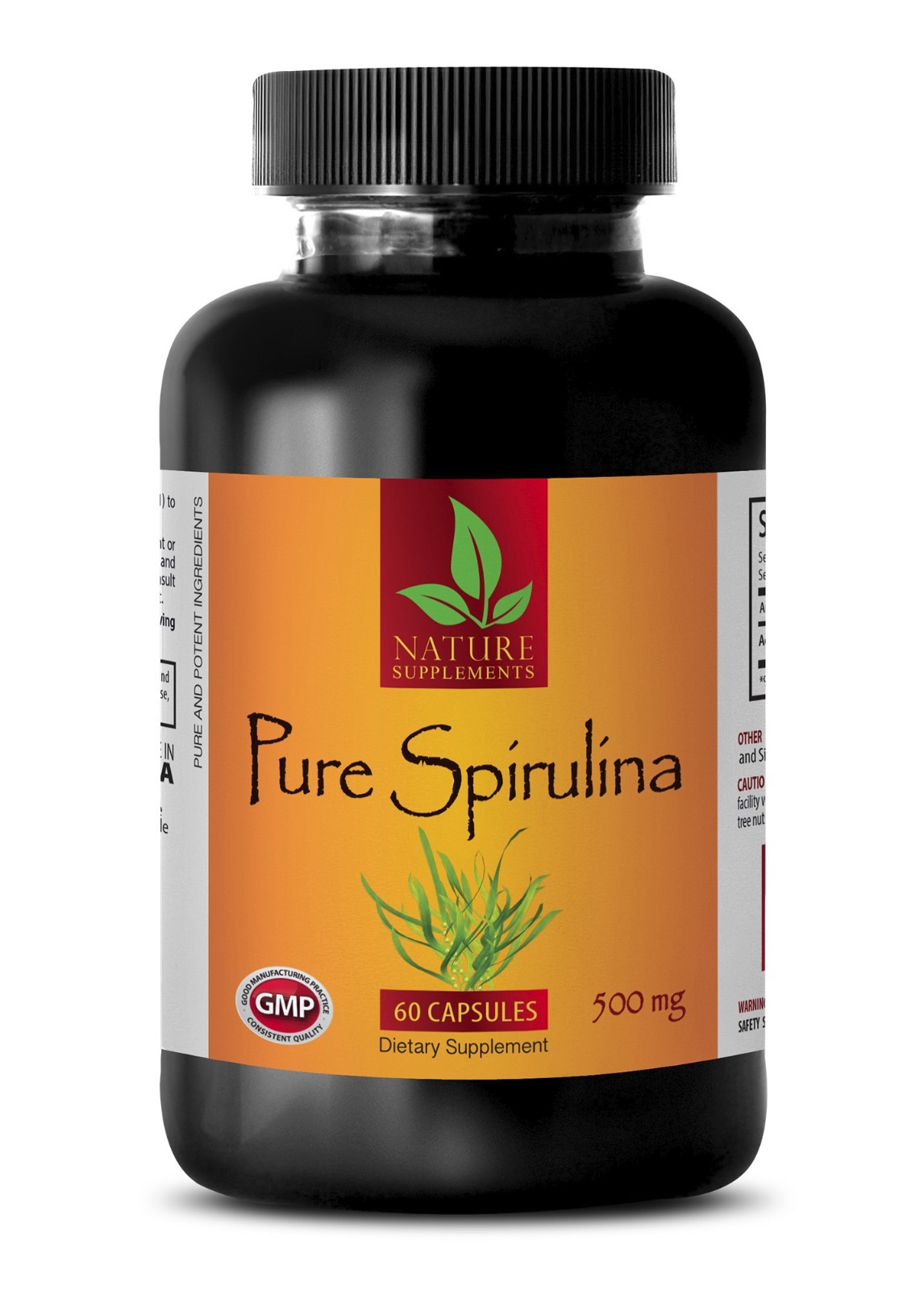 Mood boost – SPIRULINA 500mg – spirulina and chlorella sunfood – 1B