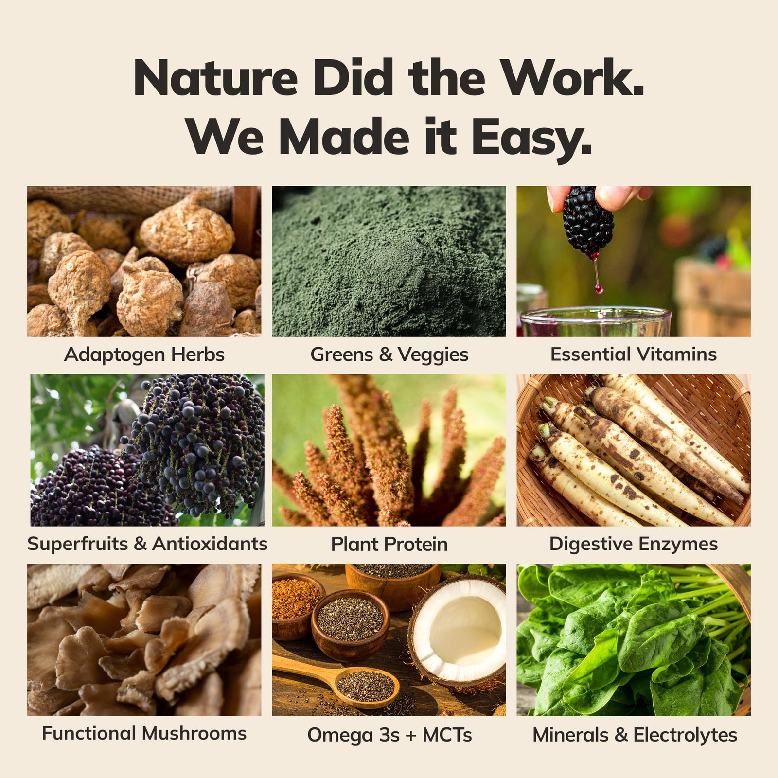 Vegan Meal Replacement Shake – Chocolate Protein Powder with 85+ Superfoods