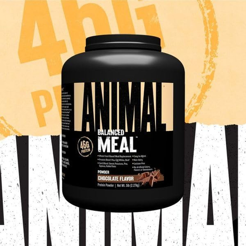 Meal – Protein Shake with Whole Food Ingredients, Aids in Muscle Recovery, with