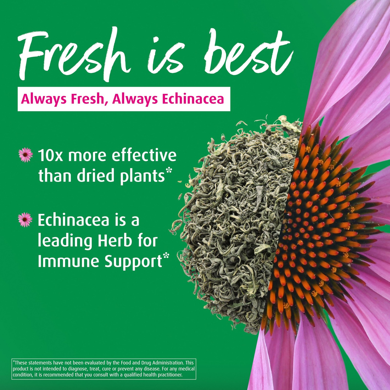 A Vogel Echinacea Immunity Support Tablets Organic 120 Count Easy To Swallow