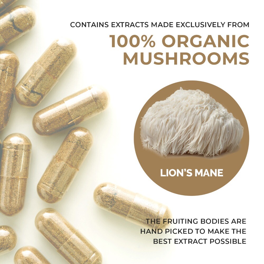 Real Mushrooms pure Lions Mane Mushroo 120 Capsules for Overall Wellness