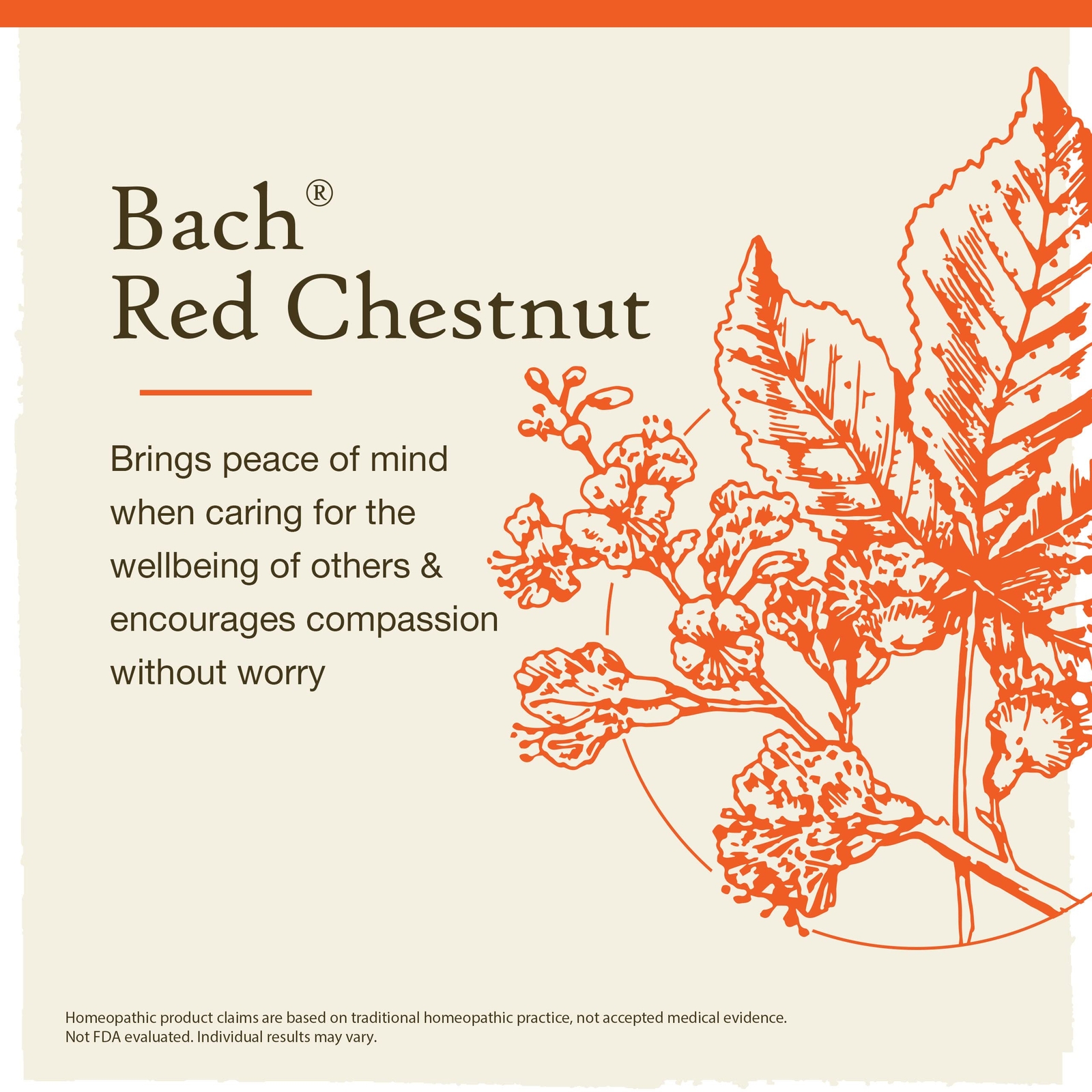 Bach Red Chestnut Flower Essence 0.7 Fl Oz Peace of Mind Homeopathic Remedy