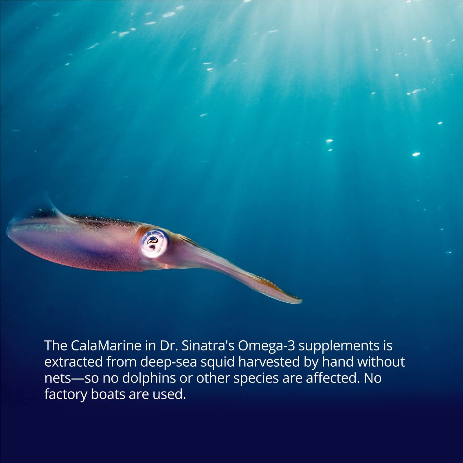 Dr. Sinatra CalaMarine Omega-3 Supplement with DHA and EPA, Clinical Grade fo…