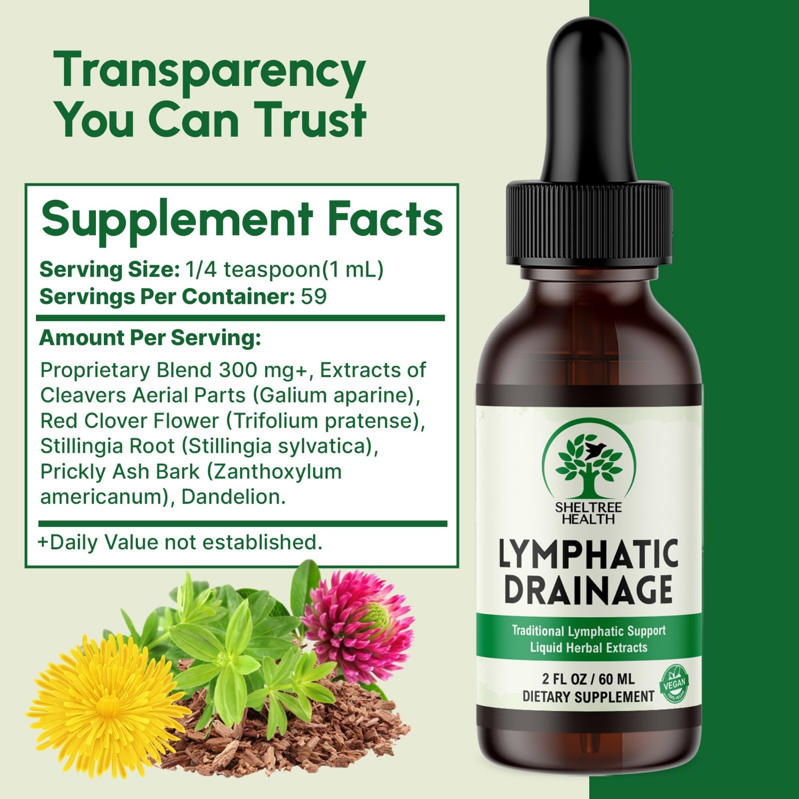 Organic Lymphatic Drainage Drops 2 Fl Oz | Vegan Non-GMO Cleavers Red Clover Dan