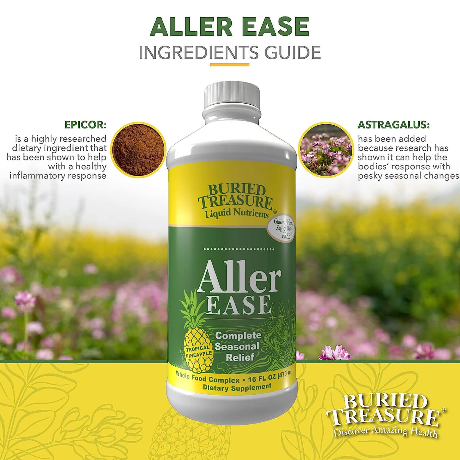 Buried Treasure Liquid Nutrients Aller Ease 16 fl oz