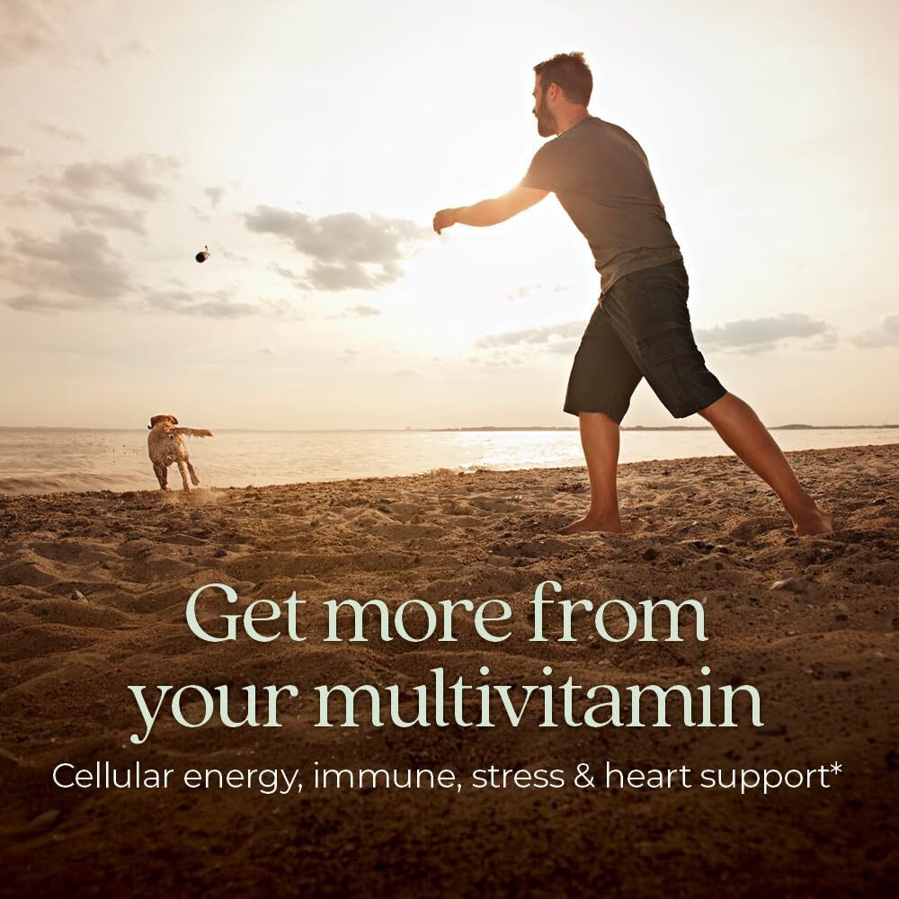 6/2026 New Chapter Men’s Multivitamin for Immune, Stress, Heart + Energy Support