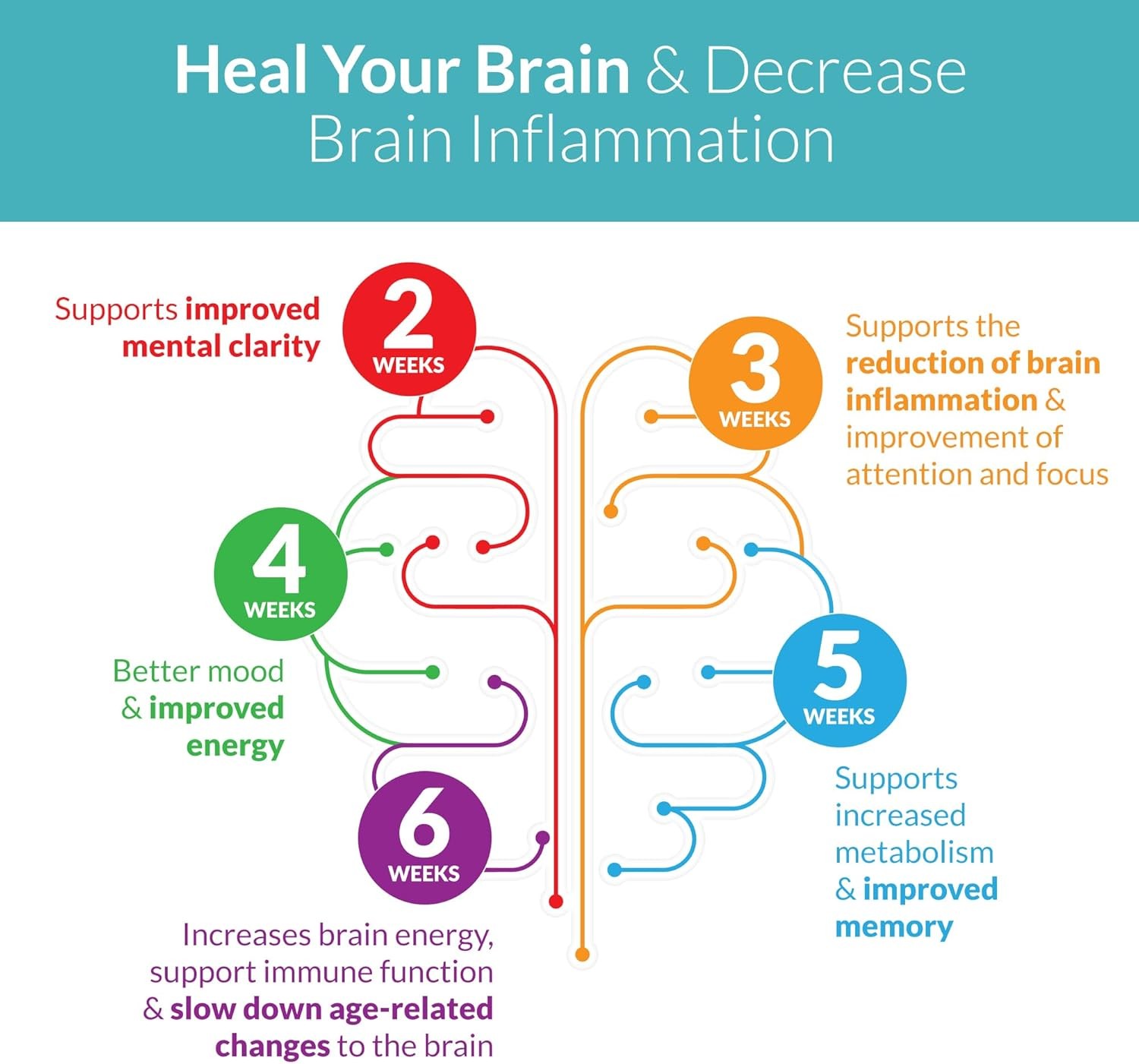 SANE MD Vitaae – Throat Phlegm, Coughing, and Brain Support – 15-Day Quick…