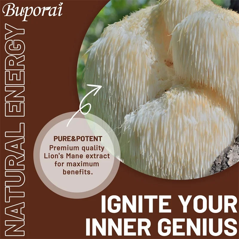 Lions Mane Mushroom 240pcs, For Brain Health,Improve Mood and Cognitive Function