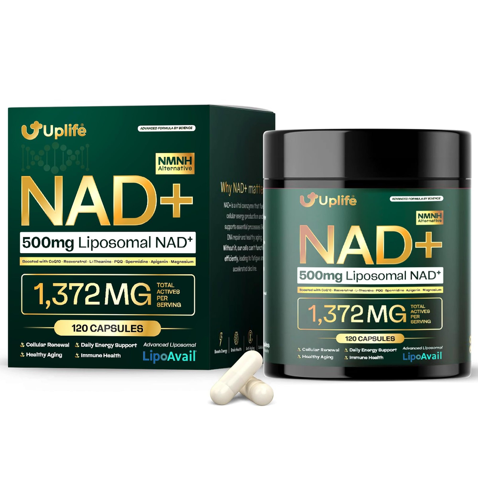 UPLIFE NAD+ Supplement 1,372mg Liposomal NAD+ with CoQ10, Resveratrol, Spermi…