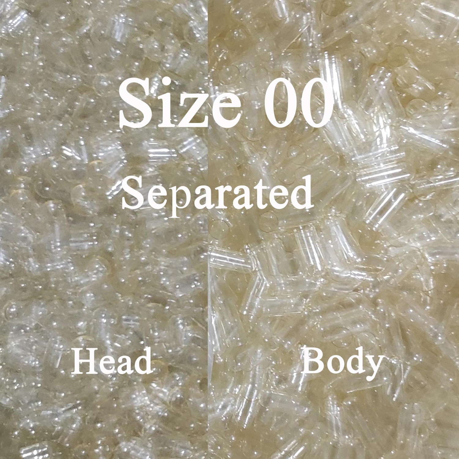 1000 Empty Gel Gelatin Capsules ~Size 00 ~ Kosher ~Separated