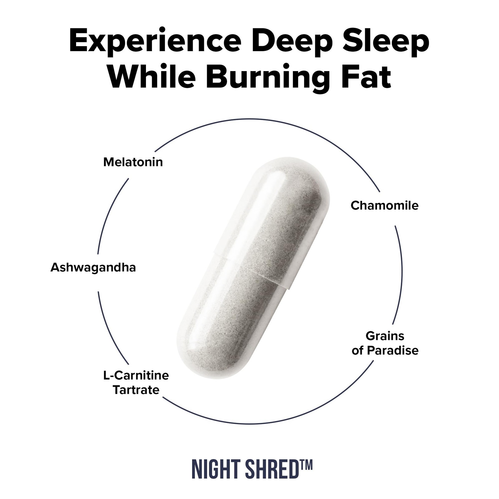 InnoSupps Night Shred – Time Fat Burner, Weight 60 Count (Pack of 1)