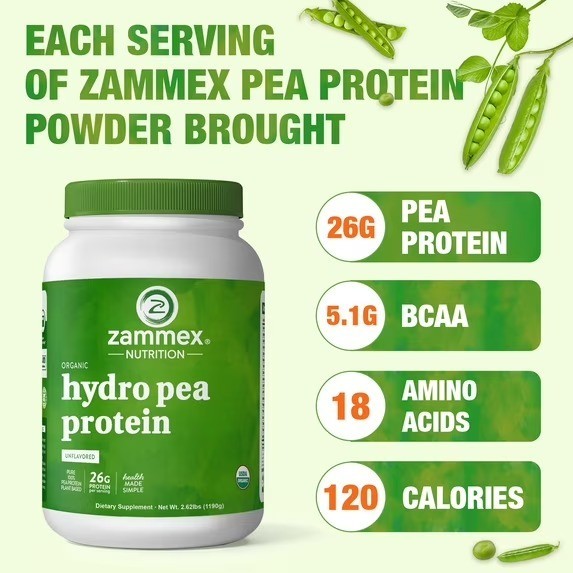 Zammex Organic Pea Protein Powder Protein from Plants, natural (2.62LBS) – NEW!!