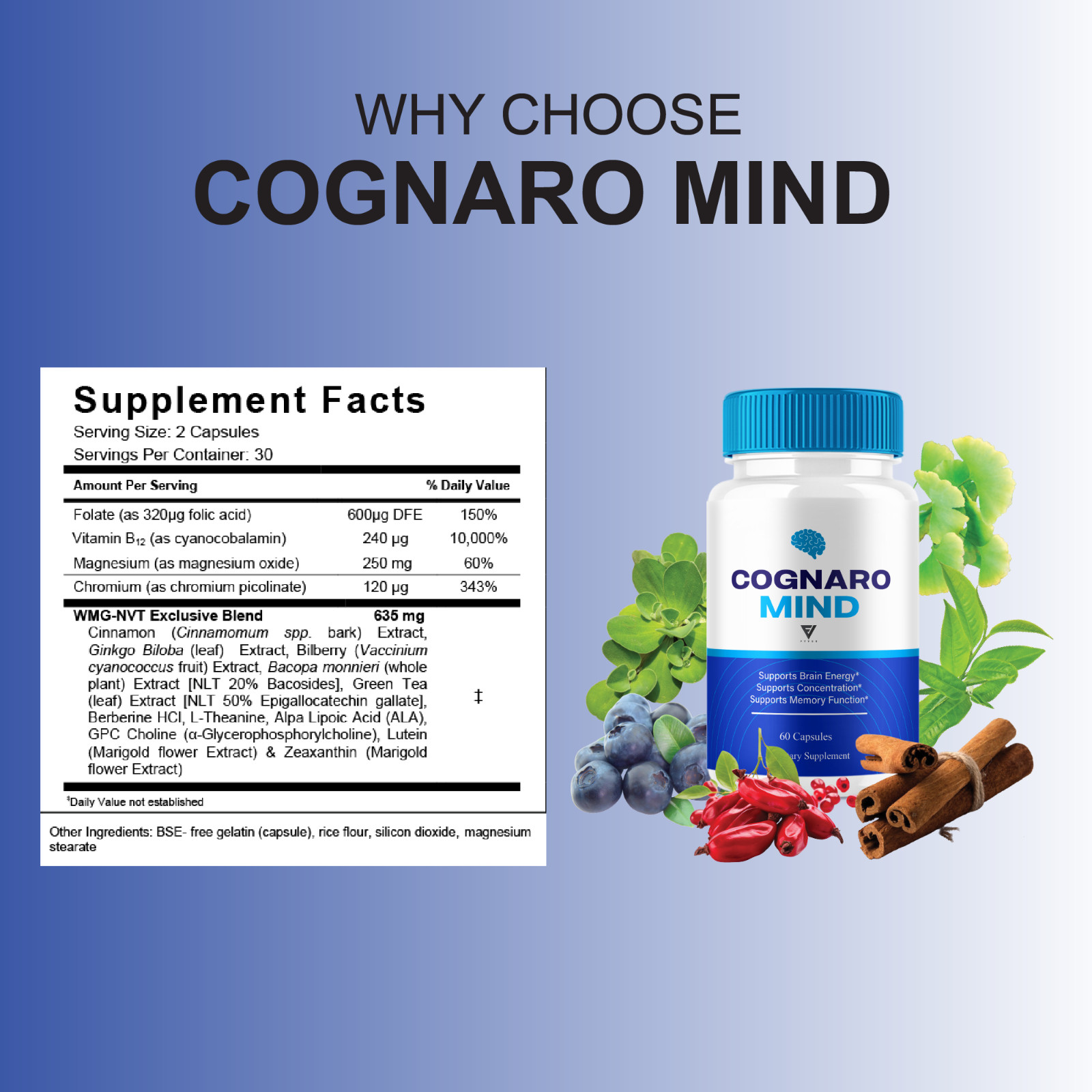 Cognaro Mind Advanced Brain Support, CognaroMind Pills (60 Capsules)
