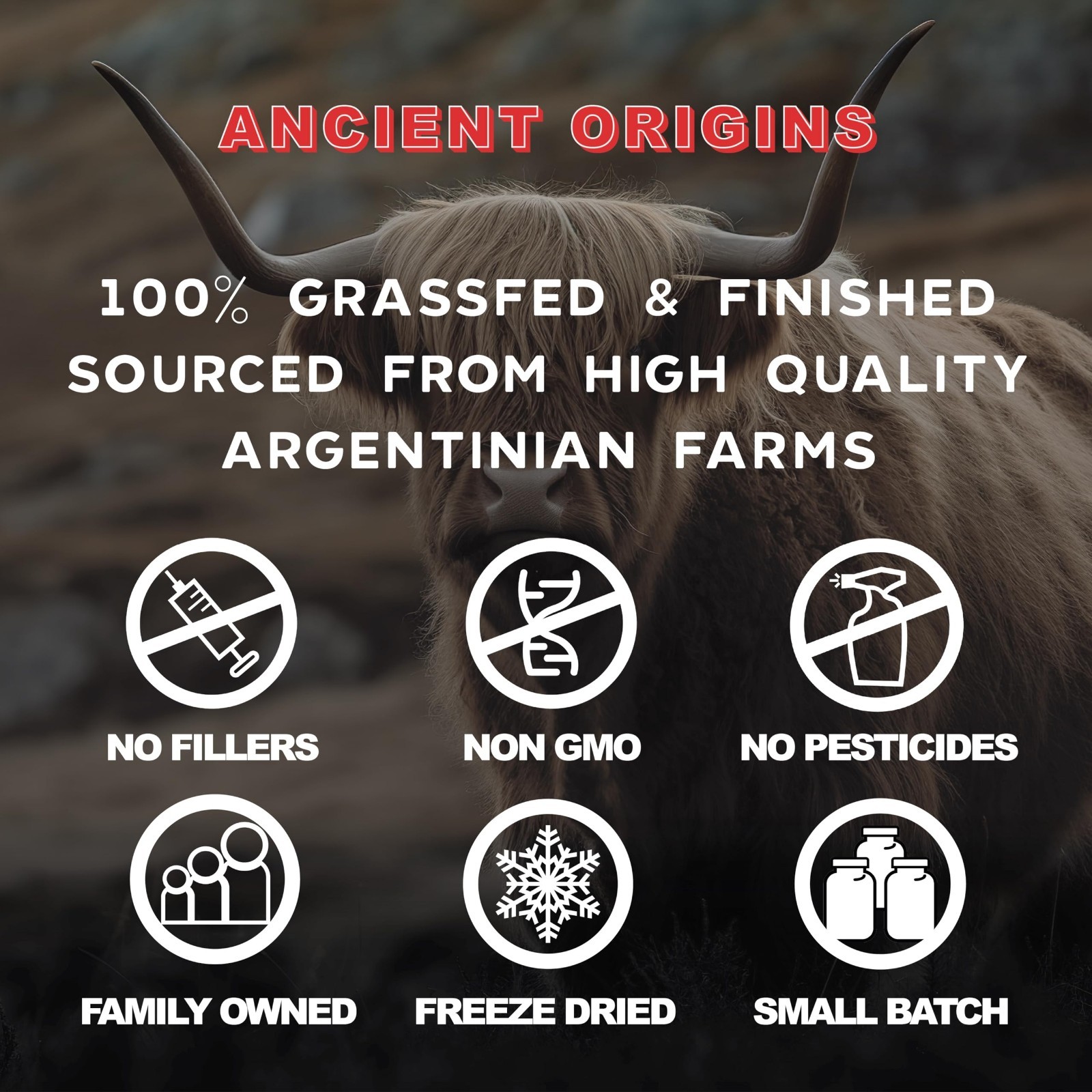 Grass Fed Liver & Organs Starter Pack – Nutrient-Rich Marrow for Health